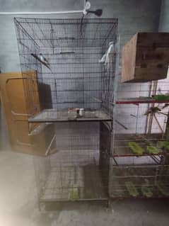colony cage