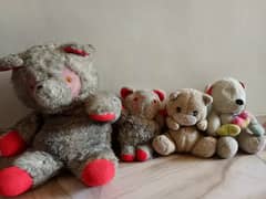 Teady bear for kids