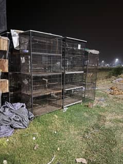 Cages for birds in good condition