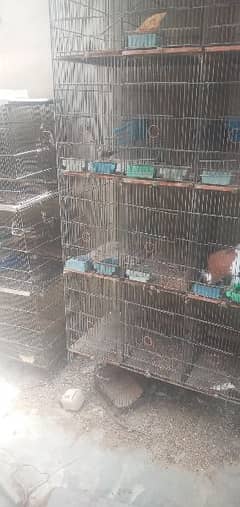 Used Bird Cages