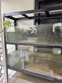 Fish aquarium iron rack 6ft tall