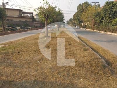 Plot for Sale in Chakala Scheme 1 0