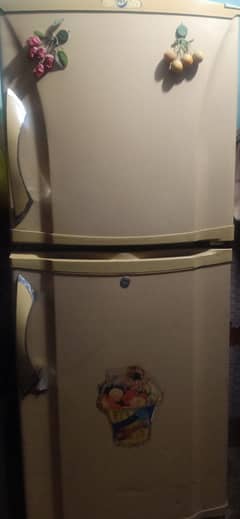 Pel Refregerator