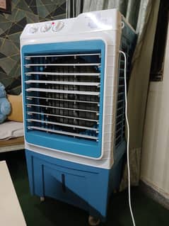 Super Golden with 2 year Warranty