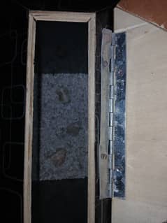 Fish aquarium