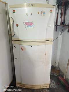 pel fridge