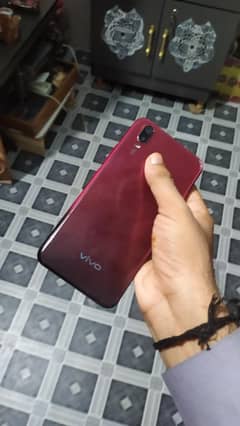 Vivo