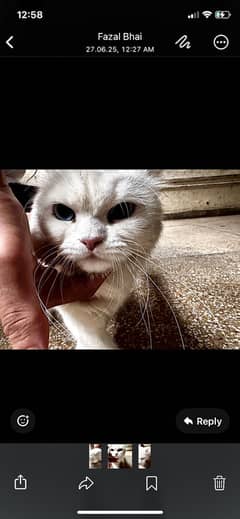 Blue eye and heat pe ha mena terming ni kar whai