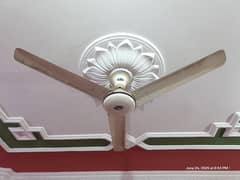 Pak Fan 220v