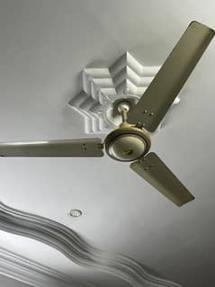 2 fans available