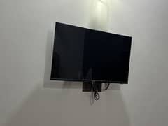 Izone LED
