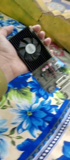 2GB graphic card