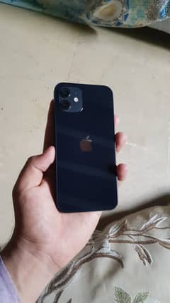 iphone 12 jv 64gb 10/9.5 lush condition sim time  88 health waterpack