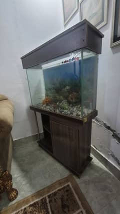 Fish  equarium