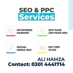 Dominate Search Rankings with Expert | (Search Engine Optimization)