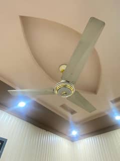 Ceiling Fan