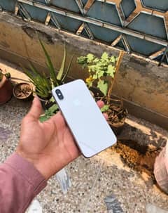 Iphone X Official Pta Approved 64 GB