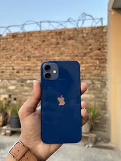 IPHONE 12 Non pta fectory unlocked!