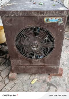 Cooler