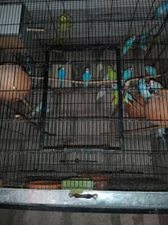pair