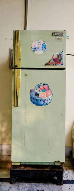 Singer Refrigerator