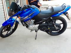 Yamaha ybr 16 model golden number condition 9/10