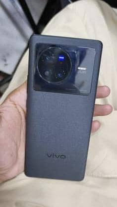vivo