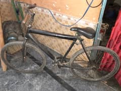 OK cycles 10.10 ha
