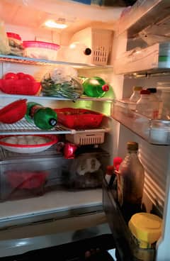Dawlance Freezer Fridge