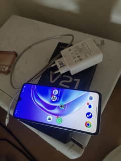 vivo