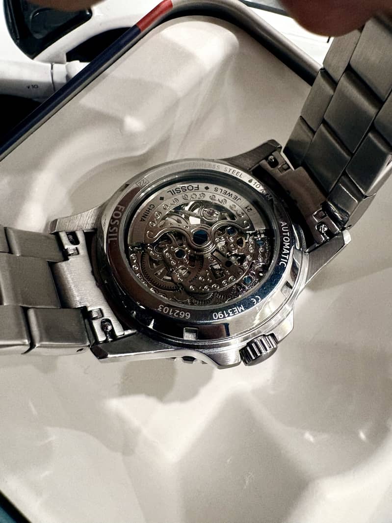 FOSSIL FB-01 Skeleton 1