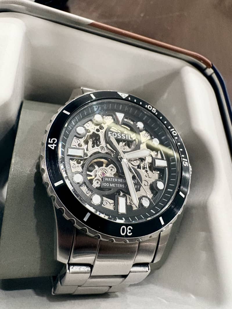 FOSSIL FB-01 Skeleton 4