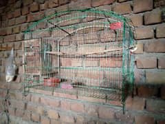birds cage for sale with breading box