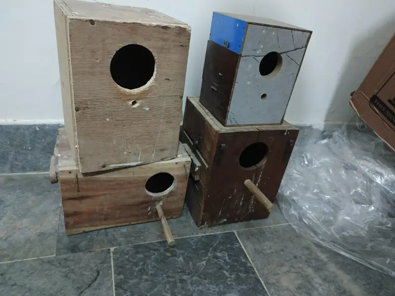 breeder box 1 piece 1000