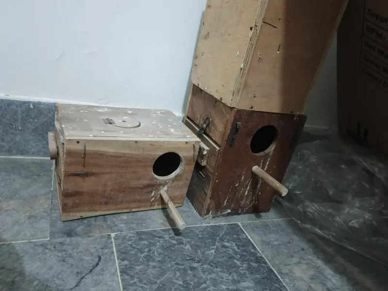 breeder box 1 piece 1000 — photo 2