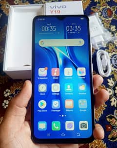vivo