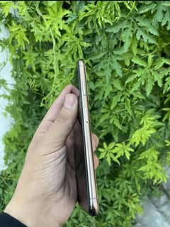 Xs