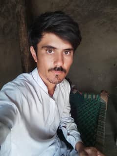 I need Job contact me 03099583084
