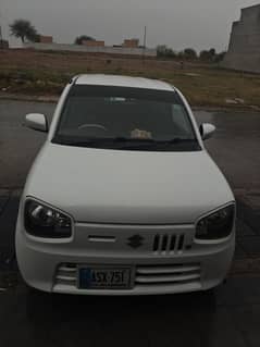 Alto