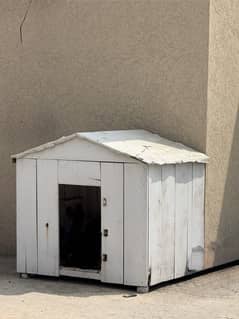 Dog House