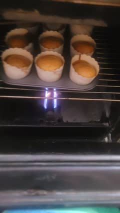 Heat Gas Oven with 5 stoves
