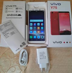 vivo y75, 6/128GB Complete Box charger