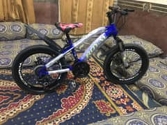 20 size sports cycle