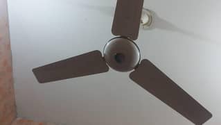 3 Ceiling Fans  03054337120