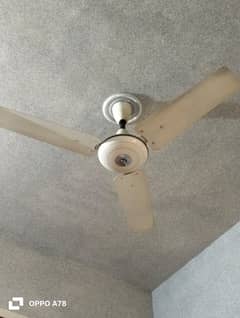 3 fans (pak fans)
