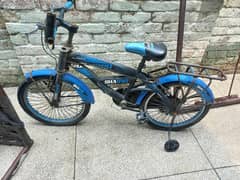 Chinese  cycle