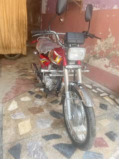 2025 new marka