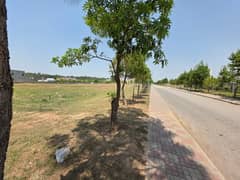 10 Kanal Residential Plot In Gulberg For sale At Good Location