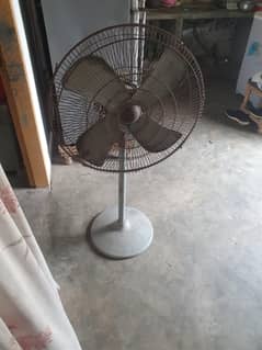 Pak
