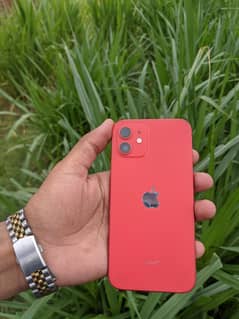iphone 12 64 GB Red color